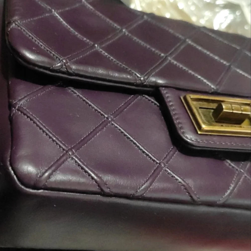 CHANEL Paris-Bombay "Cosmos" Flap Bag - Picture 14 of 16